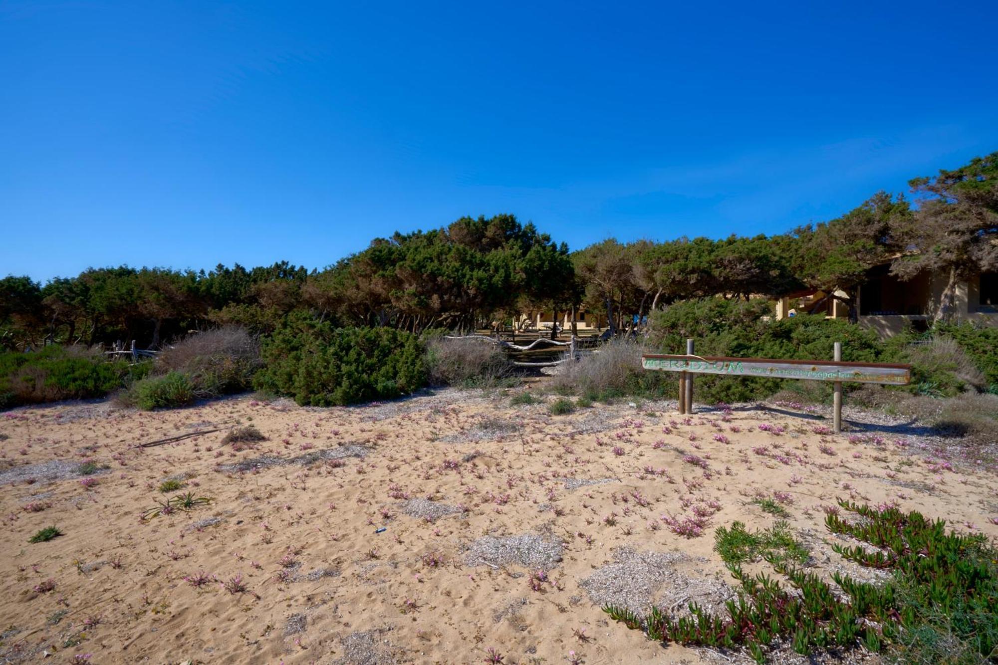 Meridium Formentera By Tentol Hotels Playa Migjorn Exteriör bild