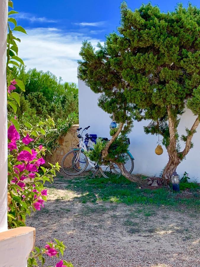 Meridium Formentera By Tentol Hotels Playa Migjorn Exteriör bild